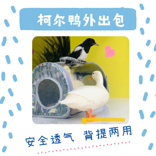 冲鸭食堂透明外出宠物便携包