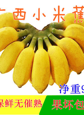 广西小米蕉新鲜当季水果整箱