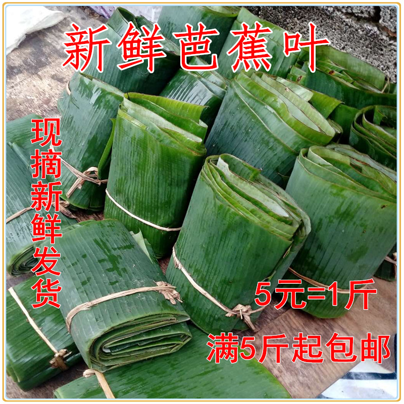 农家现摘新鲜芭蕉叶包糍粑香蕉叶子满5斤包邮粽子叶菜肴糕点摆盘