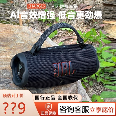 JBLCHARGE6蓝牙户外音箱