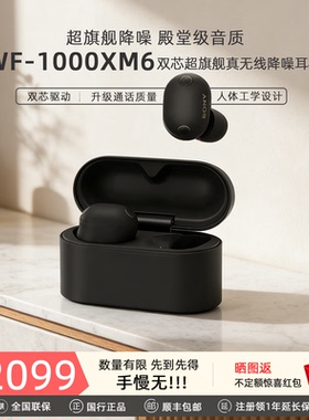 Sony/索尼 WF-1000XM6 真无线蓝牙耳机入耳式降噪豆超旗舰降噪