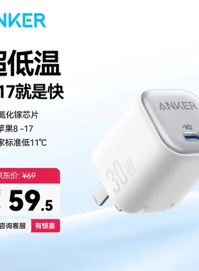 ANKER安克30W冰点充 苹果17充电器type-c快充pd氮化镓 白色