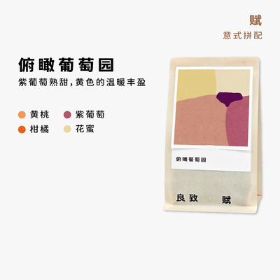 秋上新 良致【俯瞰葡萄园】小憩系列中浅烘焙手冲意式精品咖啡豆