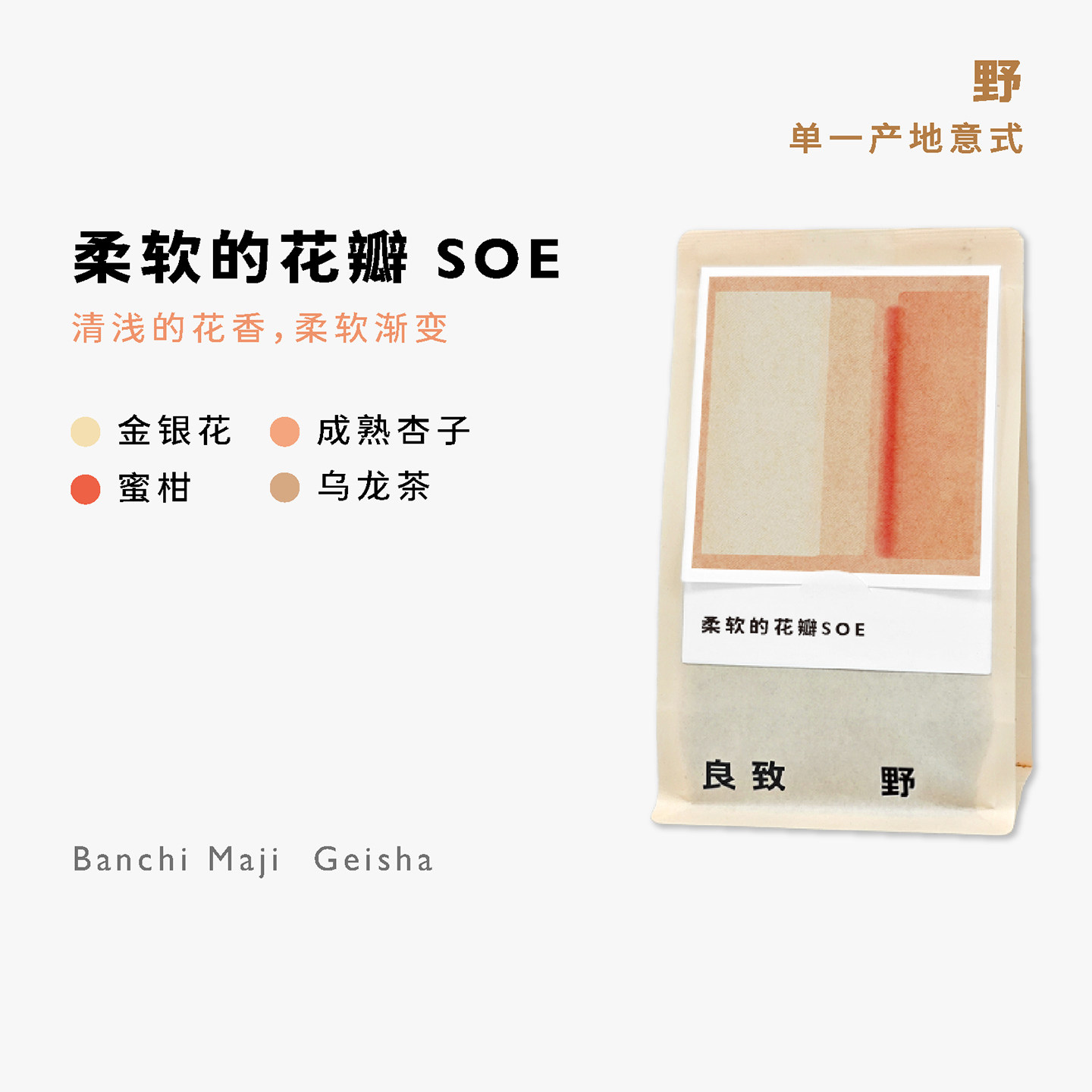 新品 良致埃塞俄比亚班其玛吉水洗戈里瑰夏冷萃手冲意式SOE咖啡豆 - 实物图