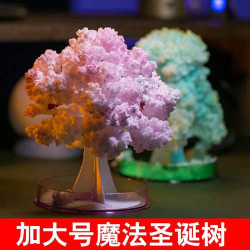 浇水开花【大号魔法圣诞树】