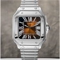Silver Brown Dial