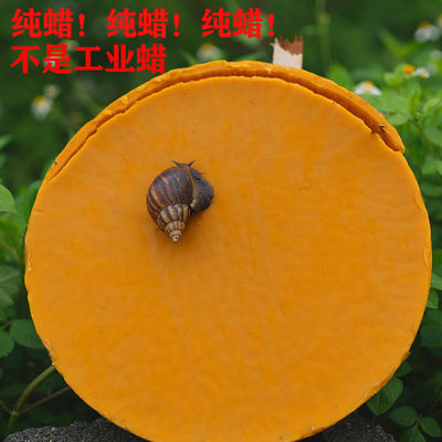天然蜂蜡食用级土蜂蜡唇膏口红diy可食用药用入药纯蜂蜡封酒蜜蜡