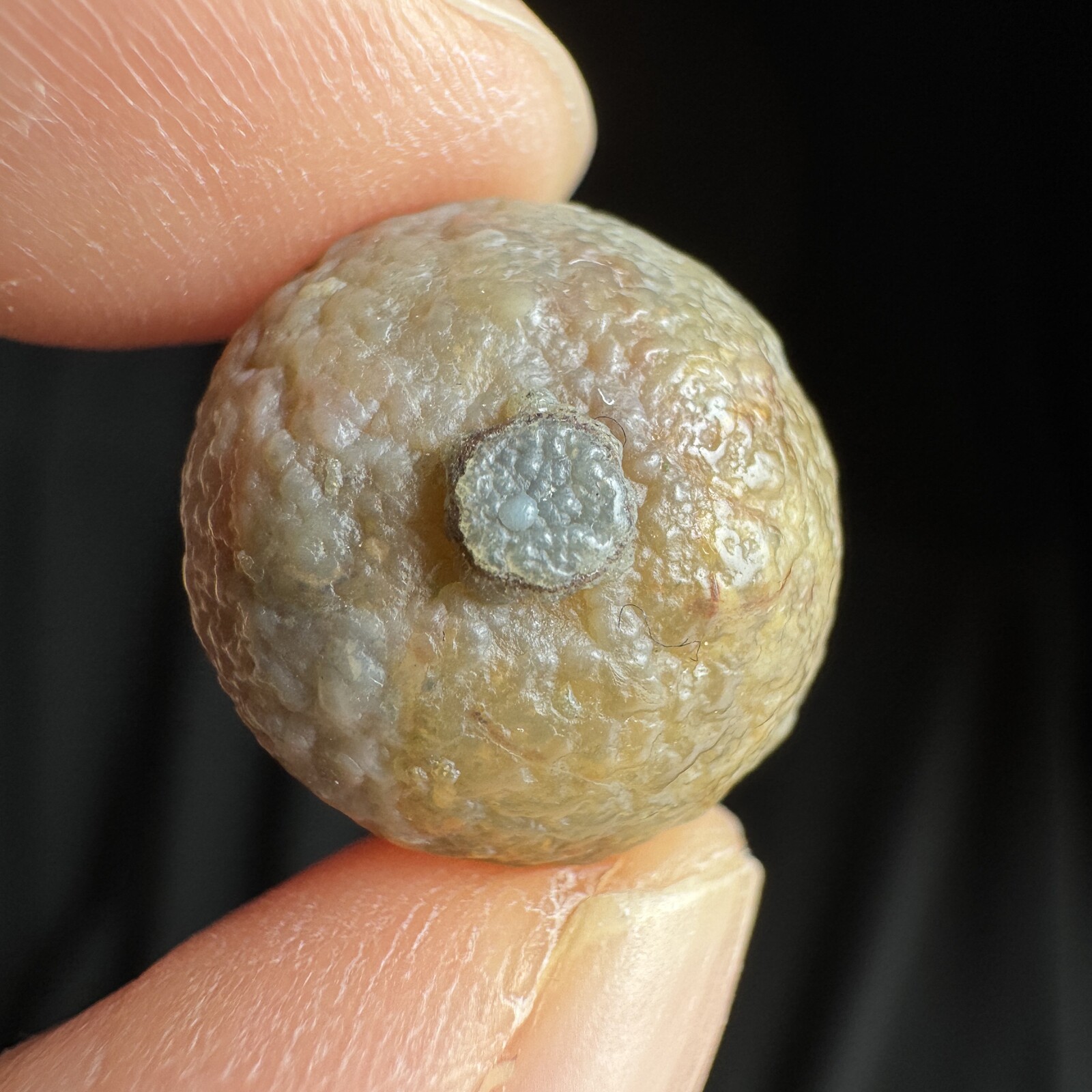 1.6cm 眼睛石 天然戈壁玛瑙原石-3979