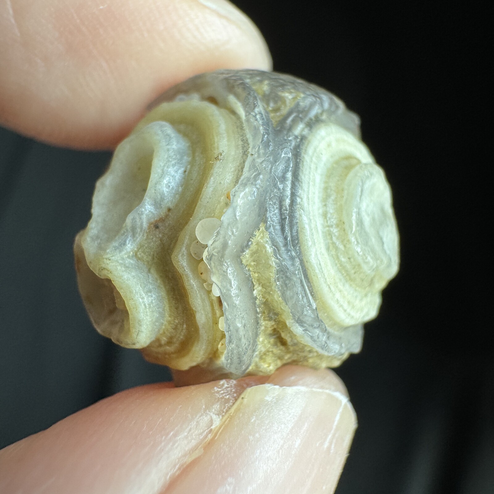 1.85cm 眼睛石 天然戈壁玛瑙原石-4051