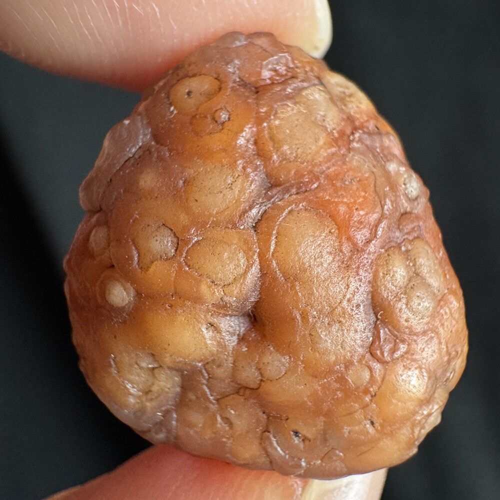 1.9cm 地表包心红鱼籽筋脉玛瑙 天然阿拉善戈壁玛瑙原石-2589