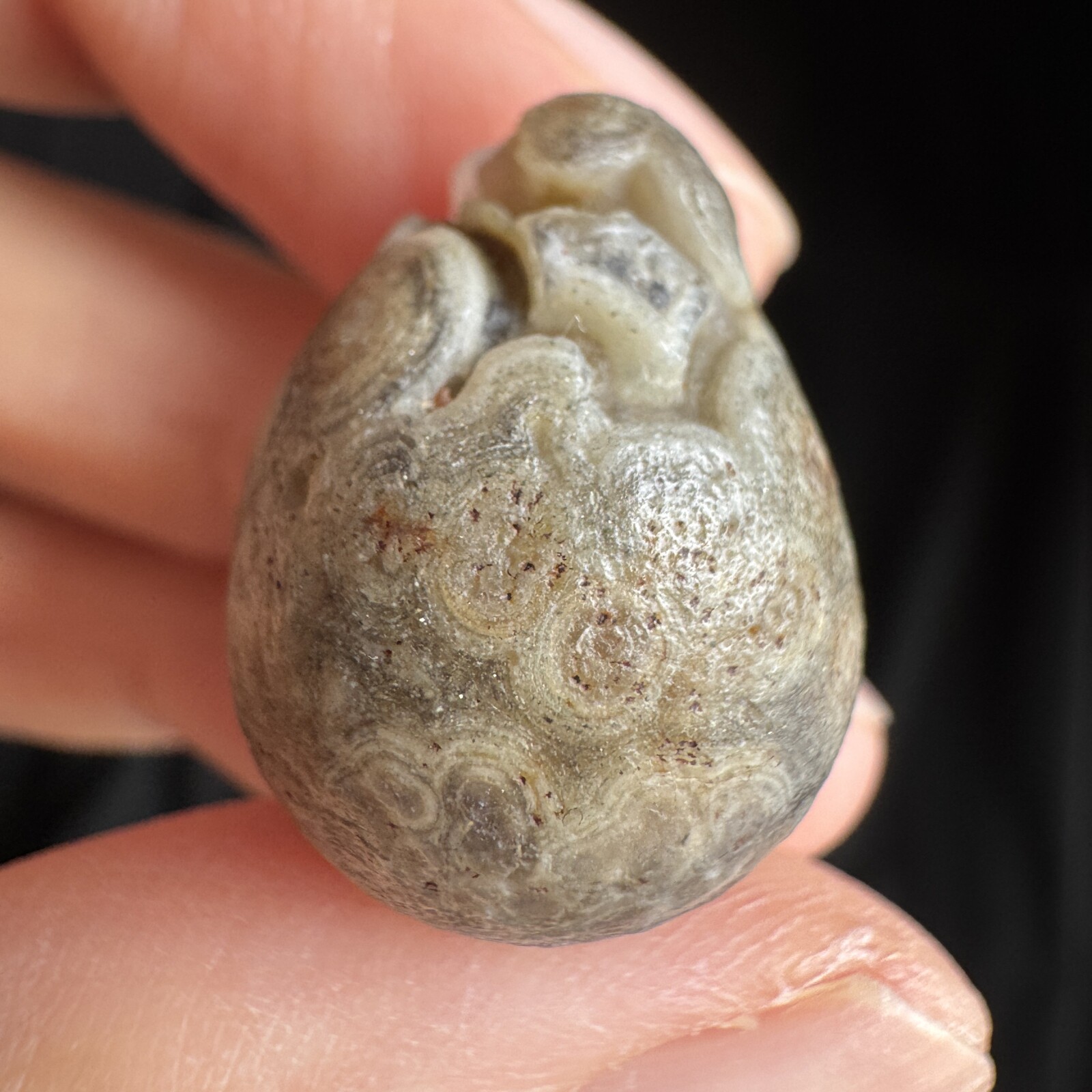 2.2cm 眼睛石 天然戈壁玛瑙原石-3982