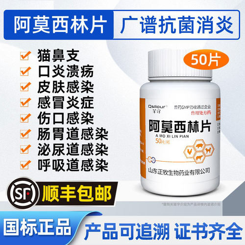 芊守阿莫西林片宠物猫狗消炎药