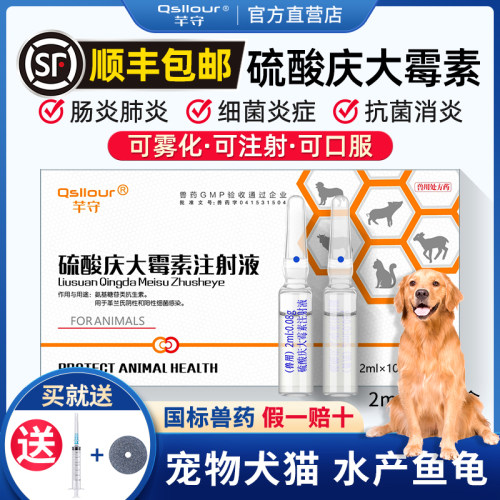 硫酸庆大霉素宠物消炎药猫狗雾化