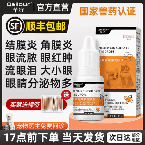 硫酸新霉素滴眼液猫咪狗狗眼药水