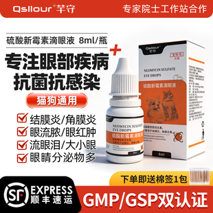 硫酸新霉素滴眼液猫咪眼药水消炎狗狗眼药水宠物用眼睛发炎流泪痕