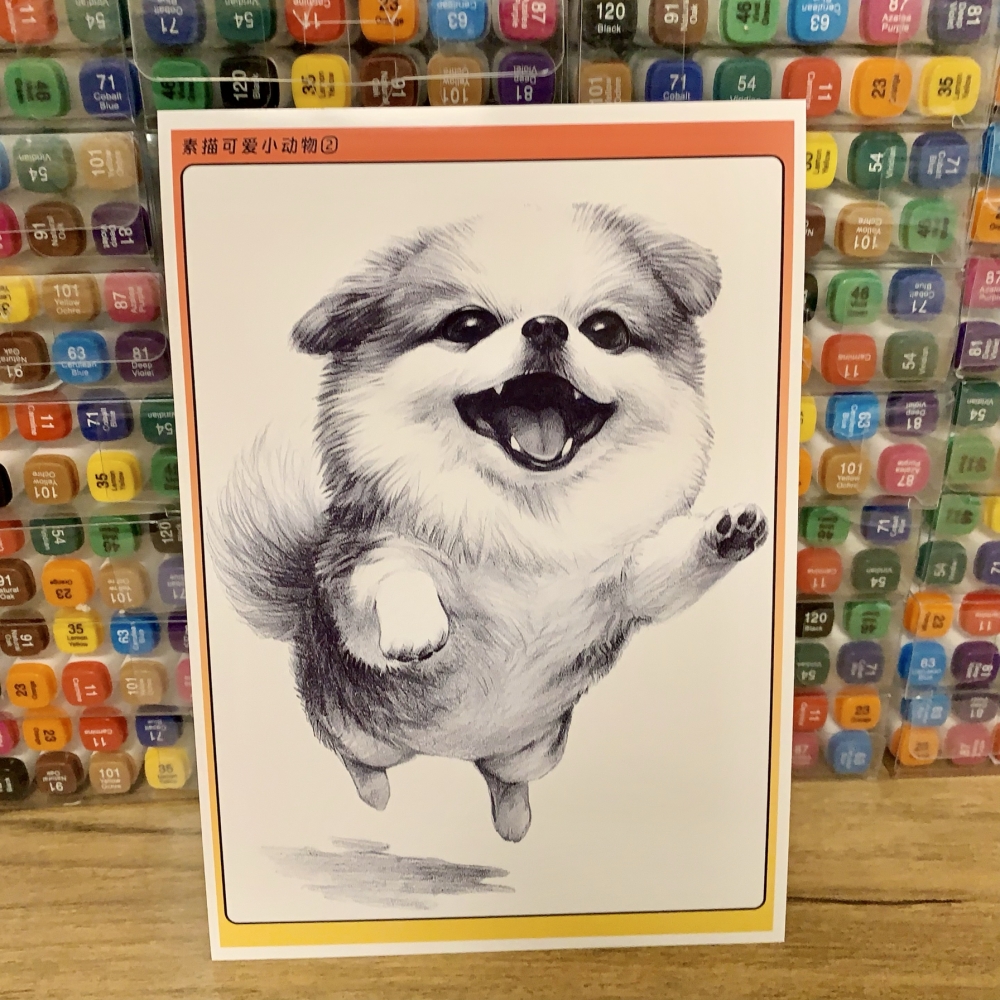 美美哒素描可爱小动物临摹卡儿童创意美术明信片素描动物卡通初级