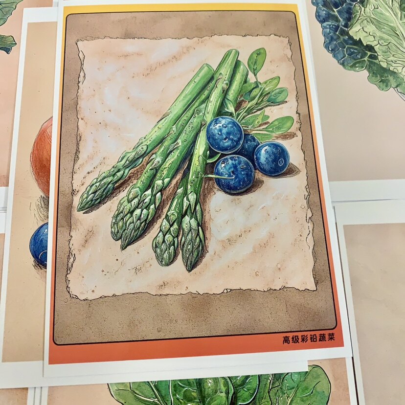 美美哒高级彩铅花卉水果蔬菜静物临摹卡儿童创意美术明信片马克笔