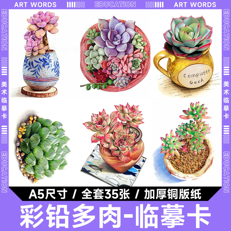 彩铅多肉创意美术绿植物花卉彩色素描少儿绘画临摹卡片素材范画
