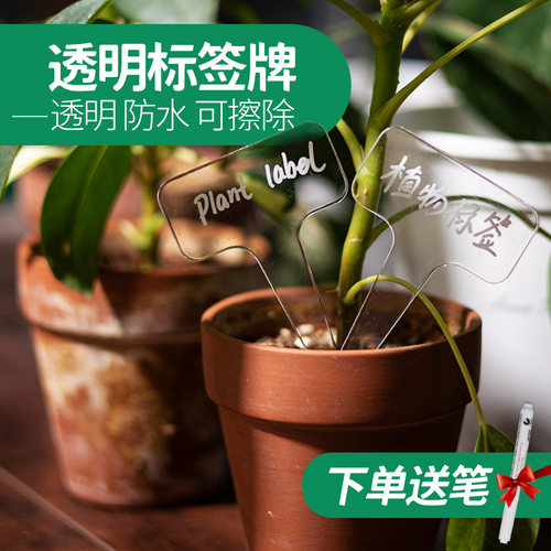 植物标签插牌透明防水可擦除