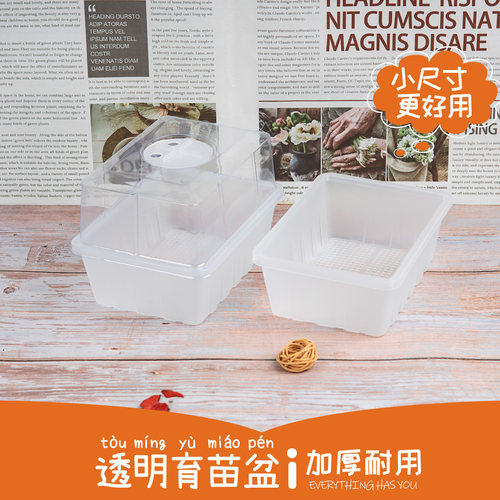 透明长方形多肉植物育苗盘
