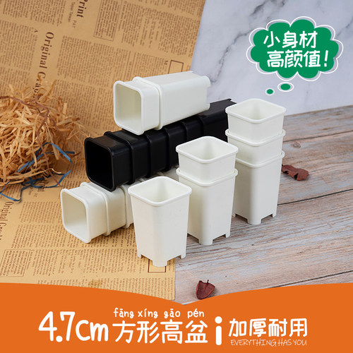 树脂PP迷你肉锥控根拇指方盆