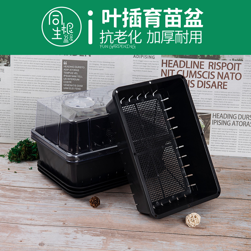 叶插育苗盆抗老化加厚耐用