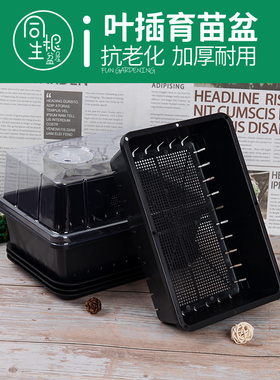 多肉叶插育苗盆加厚塑料小号生石花肉锥育苗盘草莓种植播种花盆