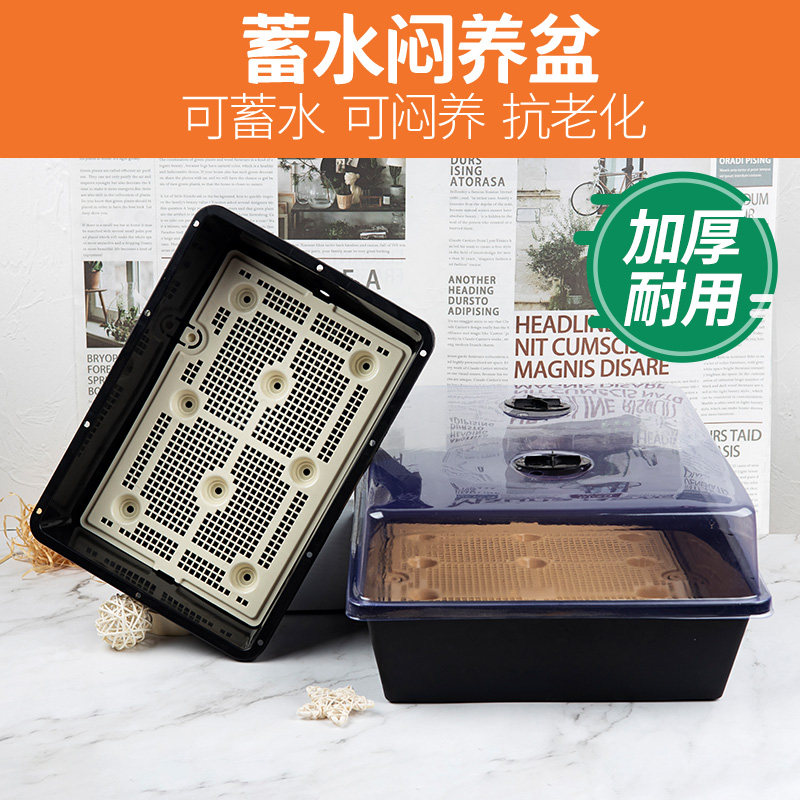 多肉植物蓄水育苗盆叶插闷养盆小方盆组合盘带盖多肉7cm方盆托盘,鲜花速递/花卉仿真/绿植园艺,花盆,淘宝优惠券,粉丝福利购,淘宝优惠卷