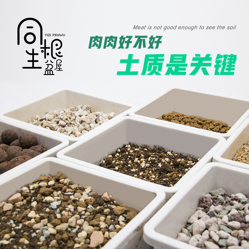 同根生多肉植物颗粒土赤玉土铺面铺底混土种植 同根生盆屋 淘优券 同根生多肉植物颗粒土赤玉土铺面铺底混土种植 同根生盆屋 淘优券