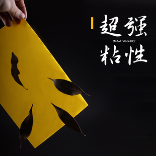 同根生 粘虫板 黄板 可诱杀小黑飞 白粉虱 蚜虫等 物理杀虫