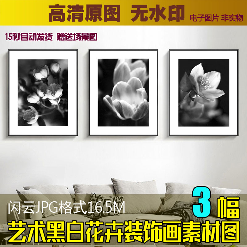 艺术黑白花卉装饰画素材客餐厅挂画书房无框画喷绘画芯图片电子图