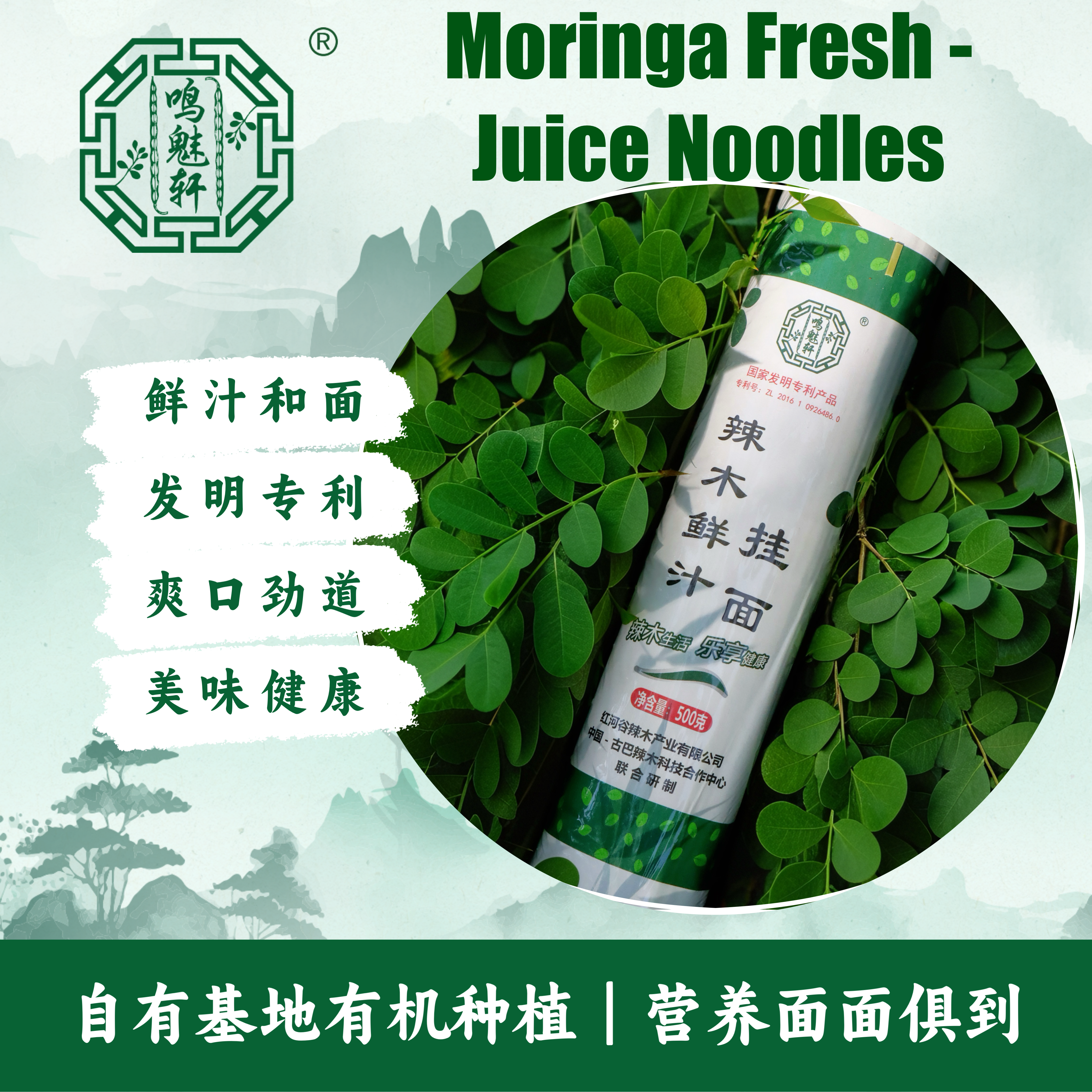 辣木面条鲜汁营养有机辣木叶素食挂面无添加低脂红河特产500g*4包