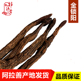 内蒙古阿拉善锁阳整根500g短头金冬锁阳滋补泡酒泡茶肉苁蓉淫羊藿