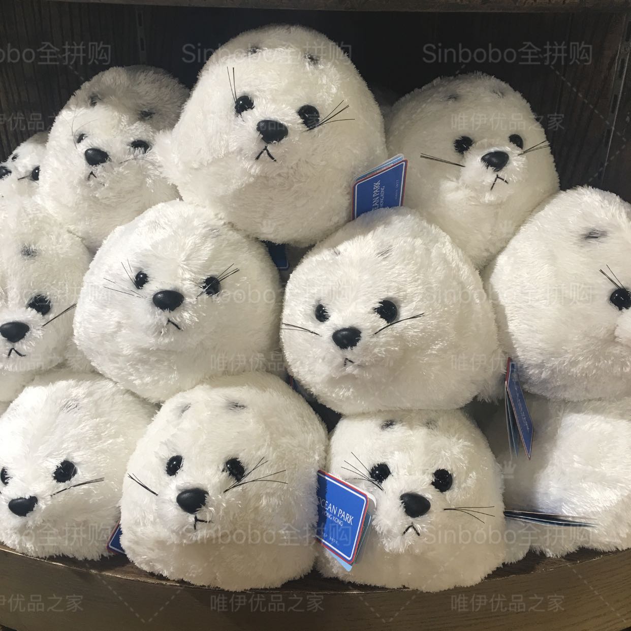 【海洋公园】可爱小海豹毛绒公仔 节日礼物萌宠礼物  正品