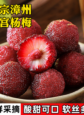 特甜正宗漳州浮宫杨梅鲜果当季水果现摘现发顺丰空运到家
