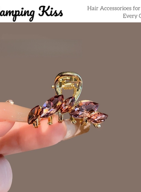 Camping Kiss淑女侧颜抓夹紫色渐变水晶顶夹小号马尾抓夹氛围感