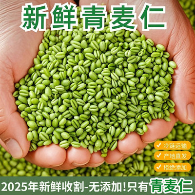 2025年新鲜青麦仁青麦粒去皮无添加河南嫩麦籽煮粥山东青小麦杂粮