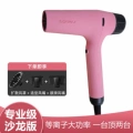 Max-01/Standard Version (Pink)