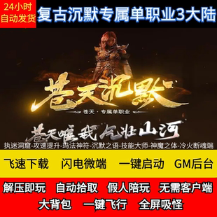 老王传奇单机版苍天沉默专属复古单职业3大陆假人GM后台微端联机