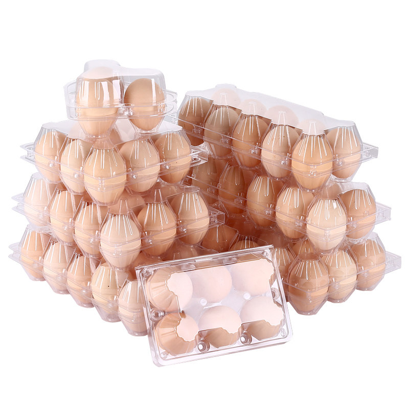 中号塑料鸡蛋托盒一次性透明土鸡蛋包装鸡蛋壳初生蛋拖带扣100个