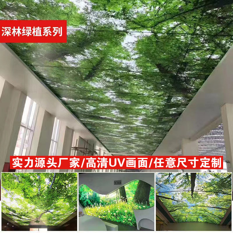软膜天花吊顶树林天空风景灯箱布