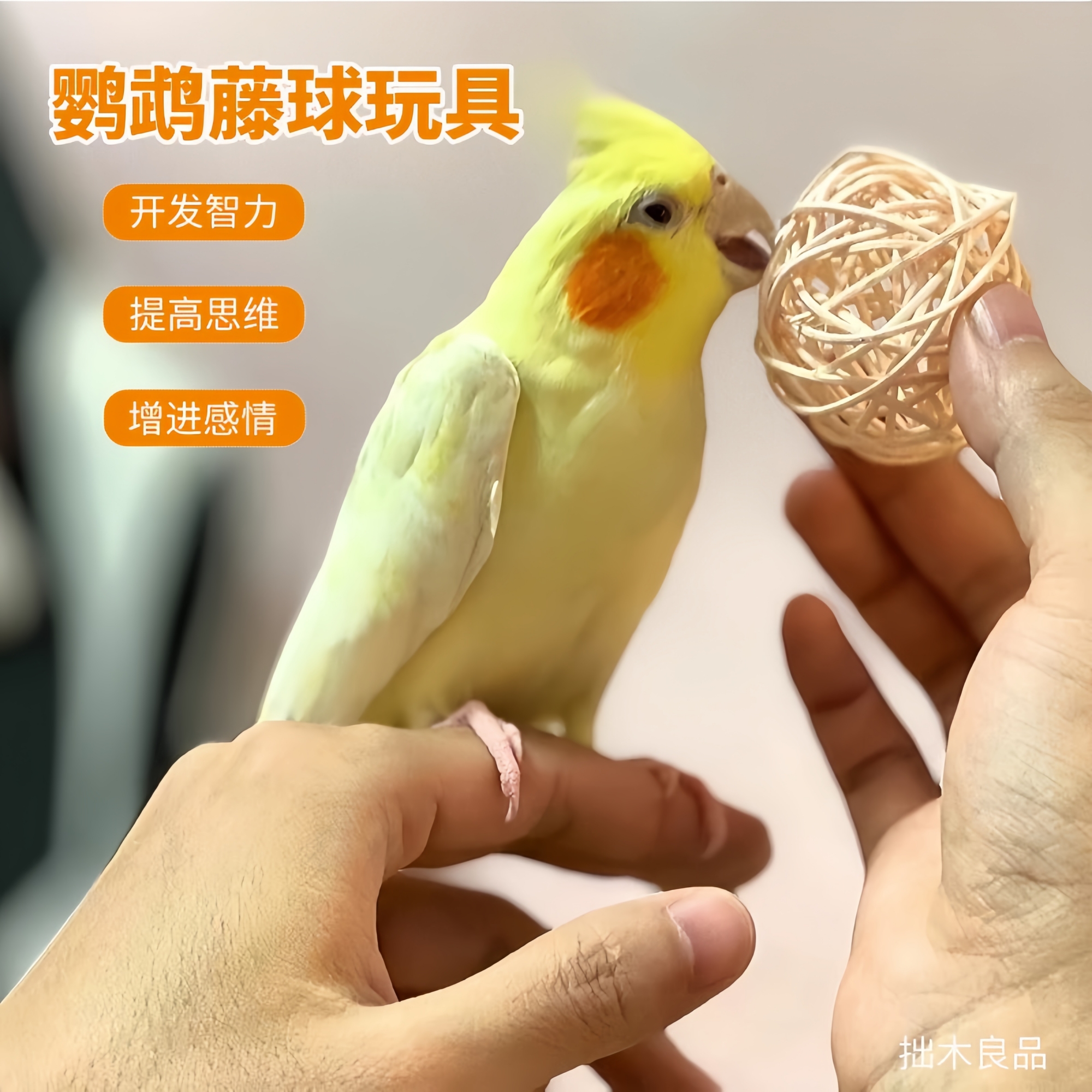 虎皮玄凤牡丹鹦鹉解闷自嗨磨嘴玩具天然藤球益智玩具草球