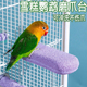 鸟类稳固站百搭专用磨牙棒站立鹦鹉玩具杆训练加厚美观磨爪多功能