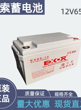 埃索蓄电池12V65AHUPS/EPS监控机房专用