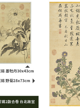 1:1清 蒋廷锡2款合卷 水墨牡丹 野菊图 真迹复制品30x116cm故宫藏