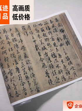 行楷集古梅花诗傅青主书法真迹