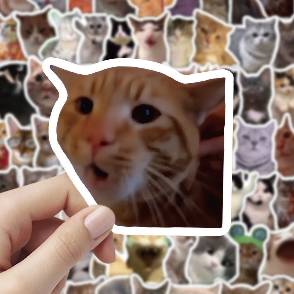 300张包浆猫meme贴纸可爱搞笑鬼畜猫咪ins风表情包梗图素材贴画