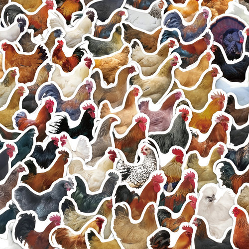 80张公鸡母鸡卡通贴纸装饰贴画