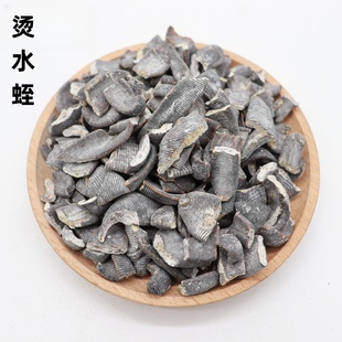 烫水蛭中药材正品烫水蛭烫蚂蟥酒水蛭麻黄清水蚂蟥广州实体店直发