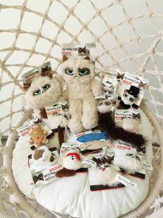 英国Grumpy Cat不爽猫臭脸猫毛绒猫狗玩具发声安抚发泄奖励玩具